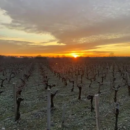 Apartamento Bel Confortable Avec Jardin Sur *